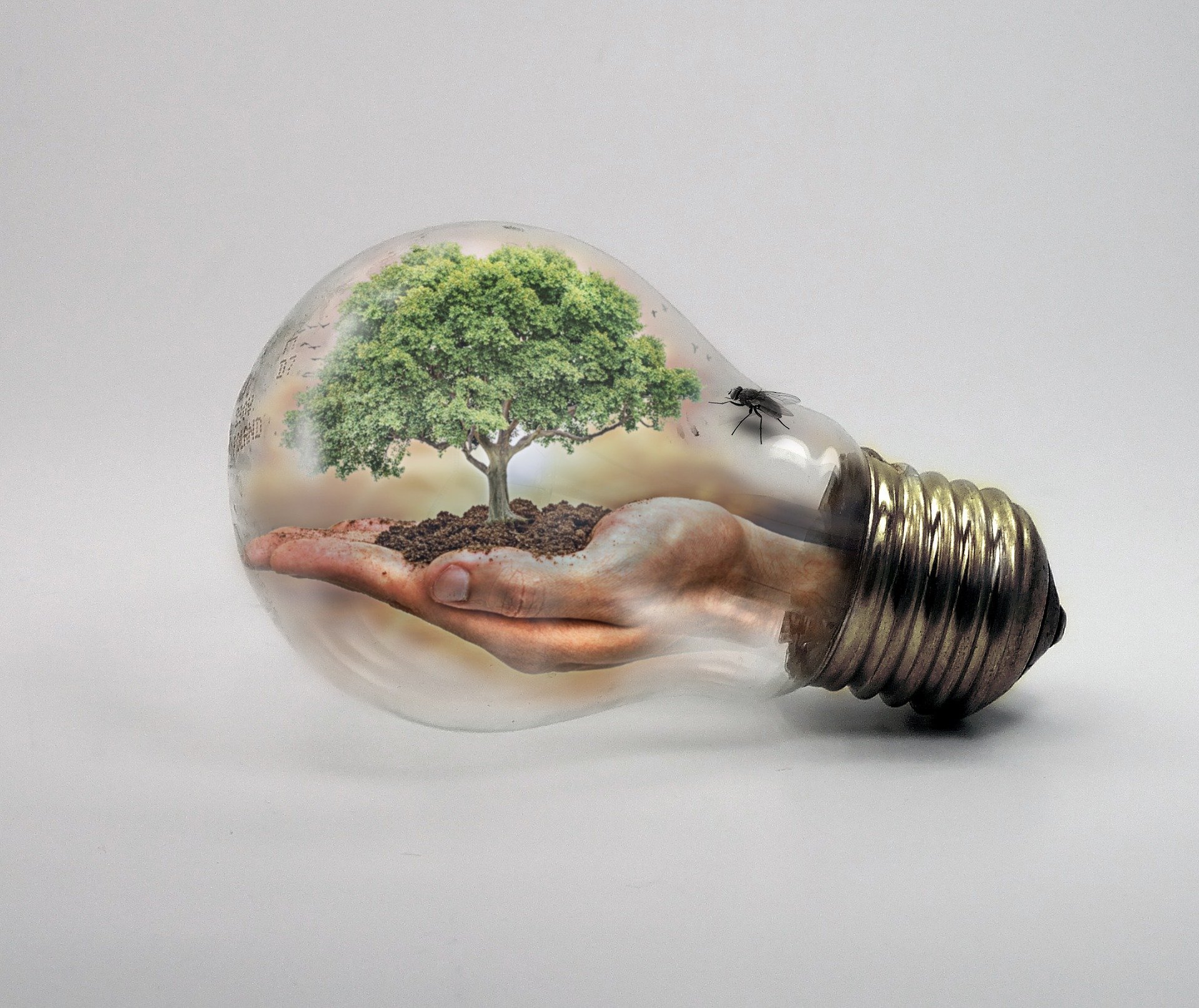 bulb-ge754f550a_1920