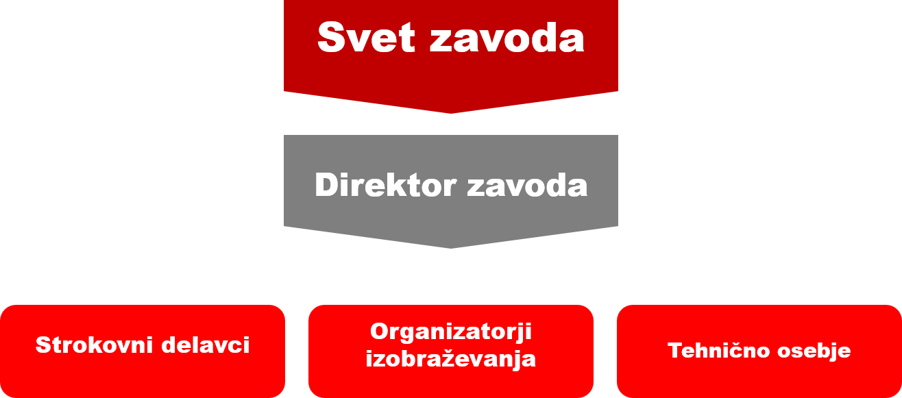 organigram Zavoda organigram Zavoda